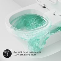 Унитаз компакт AM.PM Inspire CK50C1704W с гигиеническим душем и ершиком с бачком и сиденьем Микролифт — фото 10, Напольные унитазы