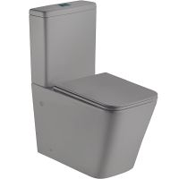 Унитаз компакт WeltWasser Gelbach 001 ST MT-GR 10000006100 Серый матовый с бачком и сиденьем Микролифт — фото 1, Напольные унитазы
