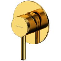 Смеситель для душа Whitecross Y gold Y1245GL Золото — фото 1, Смесители