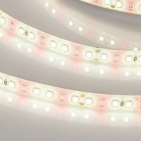 Светодиодная лента Arlight A144 038171 24В — фото 2, Светодиодная подсветка