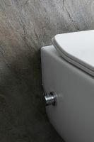 Унитаз биде Allen Brau Liberty 2 4.33009.20 подвесной Белый без сиденья — фото 34, Подвесные унитазы