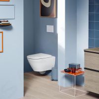 Товар: Унитаз Duravit D-Neo 45770900A1 подвесной с сиденьем Микролифт - фото 10 Унитаз Duravit D-Neo 45770900A1 подвесной с сиденьем Микролифт — фото 10, Подвесные унитазы