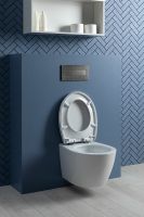 Товар: Унитаз Aquanet ZV-1 303977 подвесной с сиденьем Микролифт - фото 31 Унитаз Aquanet ZV-1 303977 подвесной с сиденьем Микролифт — фото 31, Подвесные унитазы