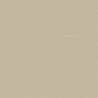 Обои Bernardo Bartalucci Medici 84204-8 Винил на флизелине (1,06*10,05) Бежевый, Однотонные — фото 1, Обои для стен