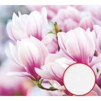 Фреска Ortograf Цветы 30086 Фактура бархат FX Флизелин (3*2,7) Розовый, Цветы — фото 1, Фрески