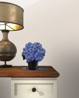 Обои Solo Fiji E201005 Винил на флизелине (1,06*10) Бежевый/Серый, Штукатурка — фото 3, Обои для стен