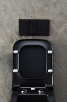 Товар: Унитаз Allen Brau Infinity 4.21011.31 подвесной Черный матовый без сиденья - фото 65 Унитаз Allen Brau Infinity 4.21011.31 подвесной Черный матовый без сиденья — фото 65, Подвесные унитазы