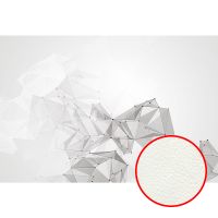 Фреска Ortograf Forma 32664 Фактура флок FLK Флизелин (4*2,7) Серый, Геометрия/Абстракция — фото 1, Фрески