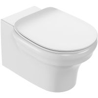 Унитаз Jacob Delafon Cleo 1889 EDZ102-0 подвесной без сиденья — фото 1, Подвесные унитазы