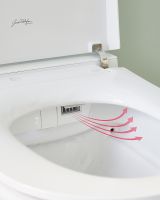 Товар: Комплект унитаза биде с инсталляцией Jacob Delafon Seine E34360-00 с сиденьем Микролифт и Белой глянцевой клавишей смыва - фото 11 Комплект унитаза биде с инсталляцией Jacob Delafon Seine E34360-00 с сиденьем Микролифт и Белой глянцевой клавишей смыва — фото 11, Умные унитазы