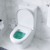 Унитаз компакт AM.PM Inspire CK50C1704W с гигиеническим душем и ершиком с бачком и сиденьем Микролифт — фото 17, Напольные унитазы