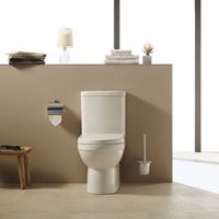 Товар: Унитаз компакт Bravat CX01014UW-P-RUS без бачка, с сиденьем Микролифт - фото 5 Унитаз компакт Bravat CX01014UW-P-RUS без бачка, с сиденьем Микролифт — фото 5, Напольные унитазы