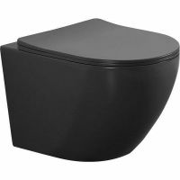 Унитаз Aquanet Cetus 2.0 W MB Rimless 279091 подвесной с сиденьем Микролифт — фото 1, Подвесные унитазы