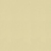 Обои Yien Feerie 3504-19 Винил на флизелине (1,06*10) Бежевый/Оранжевый, Рогожка/Однотонные — фото 1, Обои для стен