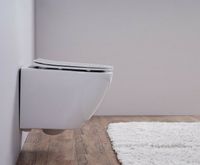 Унитаз Esbano Azalea ESUPAZALW подвесной Белый глянцевый с сиденьем Микролифт — фото 3, Подвесные унитазы