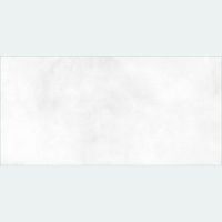 Керамическая плитка Alma Ceramica Richard TWU09RCD000 настенная 24,9х50 см — фото 1, Керамическая плитка