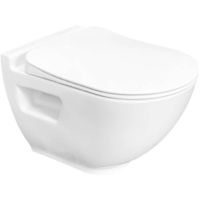 Унитаз Bien Harmony HRKA052N2VP0W3000 подвесной с сиденьем Микролифт — фото 1, Унитазы