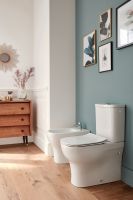 Смеситель для биде Jacob Delafon Brive E75763-4-CP Хром — фото 3, Смесители