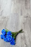 Виниловый ламинат Alpine Floor Classic ECO 134-5 Ясень Серый 1220х183х4 мм — фото 2, Виниловый ламинат