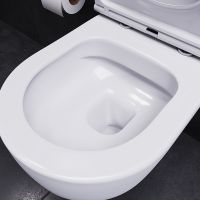 Товар: Унитаз Damixa Sirius DX86C1700SC подвесной с сиденьем Микролифт - фото 3 Унитаз Damixa Sirius DX86C1700SC подвесной с сиденьем Микролифт — фото 3, Унитазы