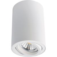 Товар: Потолочный светильник Artelamp Sentry A1560PL-1WH Белый - фото 2 Потолочный светильник Artelamp Sentry A1560PL-1WH Белый — фото 2, Светильники