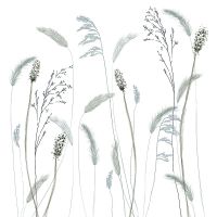 Панно Marburg Crush Motion 63459 Винил на флизелине (2,1*2,7) Белый/Серый, Листья — фото 1, Обои для стен