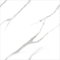 Керамогранит Ceradim Calacatta Pleasant белый полированный 60х60 см — фото 1, Керамогранит