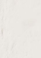 Товар: Керамогранит Emil Ceramica Forme Bianco Assoluto Silktech EMG8 80х80 см - фото 1 Керамогранит Emil Ceramica Forme Bianco Assoluto Silktech EMG8 80х80 см — фото 1, Керамогранит