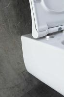 Товар: Унитаз Allen Brau Priority 4.31001.20 подвесной без сиденья - фото 56 Унитаз Allen Brau Priority 4.31001.20 подвесной без сиденья — фото 56, Подвесные унитазы