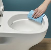 Унитаз компакт Jacob Delafon Struktura UJAJ102-WTE без бачка и сиденья — фото 5, Напольные унитазы