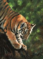 Фреска Ortograf Животные 17606 Фактура флок FLK Флизелин (2*2,7) Зеленый/Оранжевый, Животные/Живопись — фото 2, Фрески