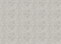 Обои Zambaiti Parati Vision 76013 Винил на флизелине (0,70*10,05) Серый/Серебряный, Штукатурка — фото 2, Обои для стен