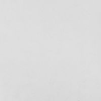 Обои Артекс Selena 10837-01 Винил на флизелине (1,06*10,05) Белый, Штукатурка — фото 1, Обои для стен