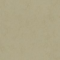 Обои Bernardo Bartalucci Giulia 84126-5 Винил на флизелине (1,06*10,05) Бежевый, Штукатурка — фото 1, Обои для стен