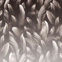 Фреска Ortograf Levity 33364 Фактура флок FLK Флизелин (2,7*2,7) Коричневый, Перья — фото 2, Фрески