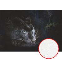 Фреска Ortograf Животные 4182 Фактура бархат FX Флизелин (3*2) Черный, Животные — фото 1, Фрески