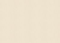 Обои Zambaiti Parati Vision Винил на флизелине (0,70*10,05) Бежевый, Штукатурка арт-76031 — фото 2, Обои для стен