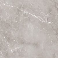 Керамогранит Ariana Epoque Grey Ret PF60004309 60x60 см — фото 1, Керамогранит