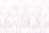 Товар: Фреска Ortograf Levity 33389 Фактура бархат FX Флизелин (4*2,7) Белый/Розовый, Перья - фото 2 Фреска Ortograf Levity 33389 Фактура бархат FX Флизелин (4*2,7) Белый/Розовый, Перья — фото 2, Фрески