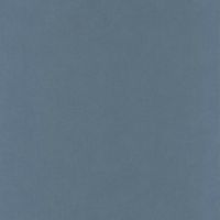 Обои Caselio Flower Power 64529368 Винил на флизелине (0,53*10,05) Синий, Однотонные — фото 1, Обои для стен