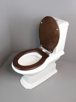 Товар: Унитаз компакт Creo Ceramique Dijon COMBO-DI1001N с бачком и сиденьем Микролифт - фото 8 Унитаз компакт Creo Ceramique Dijon COMBO-DI1001N с бачком и сиденьем Микролифт — фото 8, Унитазы