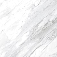 Керамогранит Ceracasa Nuit North Gloss White 98,2x98,2 см — фото 1, Керамогранит