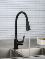 Смеситель для кухни Frap H17-6 F4417-6 Черный матовый — фото 19, Смесители для кухни