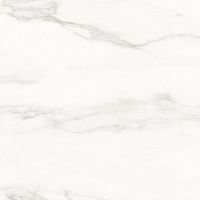 Керамогранит Velsaa Pantheon RP-91889 60х60 см — фото 10, Керамогранит