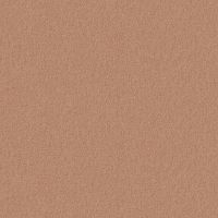 Обои Andrea Grifoni Palazzo Peterhof 7008-10 Флизелин (1,06*10,05) Коричневый, Однотонные — фото 1, Обои для стен