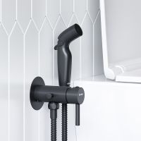 Гигиенический душ со смесителем Damixa Option 211000300 Черный матовый — фото 3, Душевое оборудование. Душевая программа