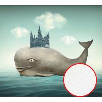 Фреска Ortograf Животные 10872 Фактура бархат FX Флизелин (3*2,7) Серый/Бирюзовый, Рыбы/Абстракция — фото 1, Фрески