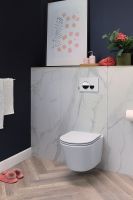 Клавиша смыва Jacob Delafon E20859-CP-MWH Хром глянцевый Белая матовая — фото 6, Кнопки смыва