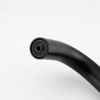 Смеситель для кухни Frap H801 F43801-6 Черный матовый — фото 4, Смесители для кухни