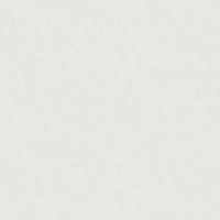 Обои AS Creation Accent 38501-2 Винил на флизелине (1,06*10,05) Белый, Штукатурка — фото 1, Обои для стен